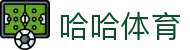 哈哈体育·(haha)十年运营,信誉无忧